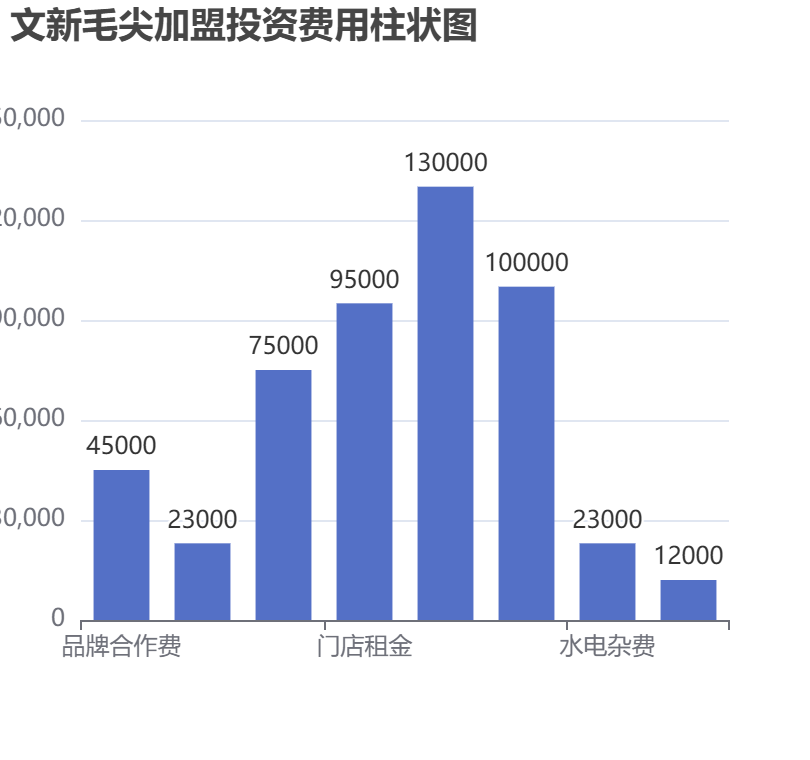 文新毛尖加盟投資費(fèi)用柱狀圖表