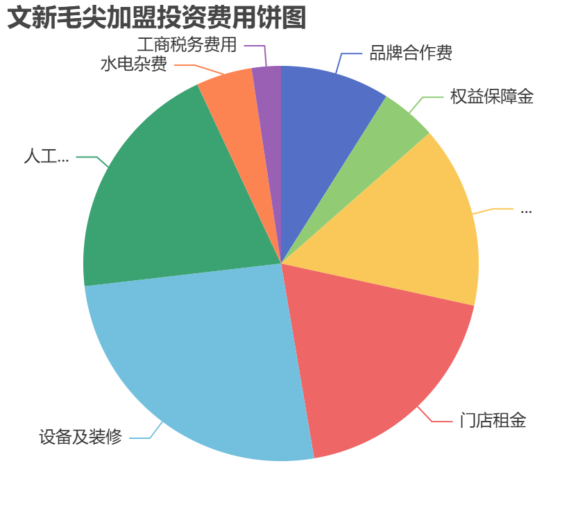 文新毛尖加盟投資費(fèi)用餅狀圖表